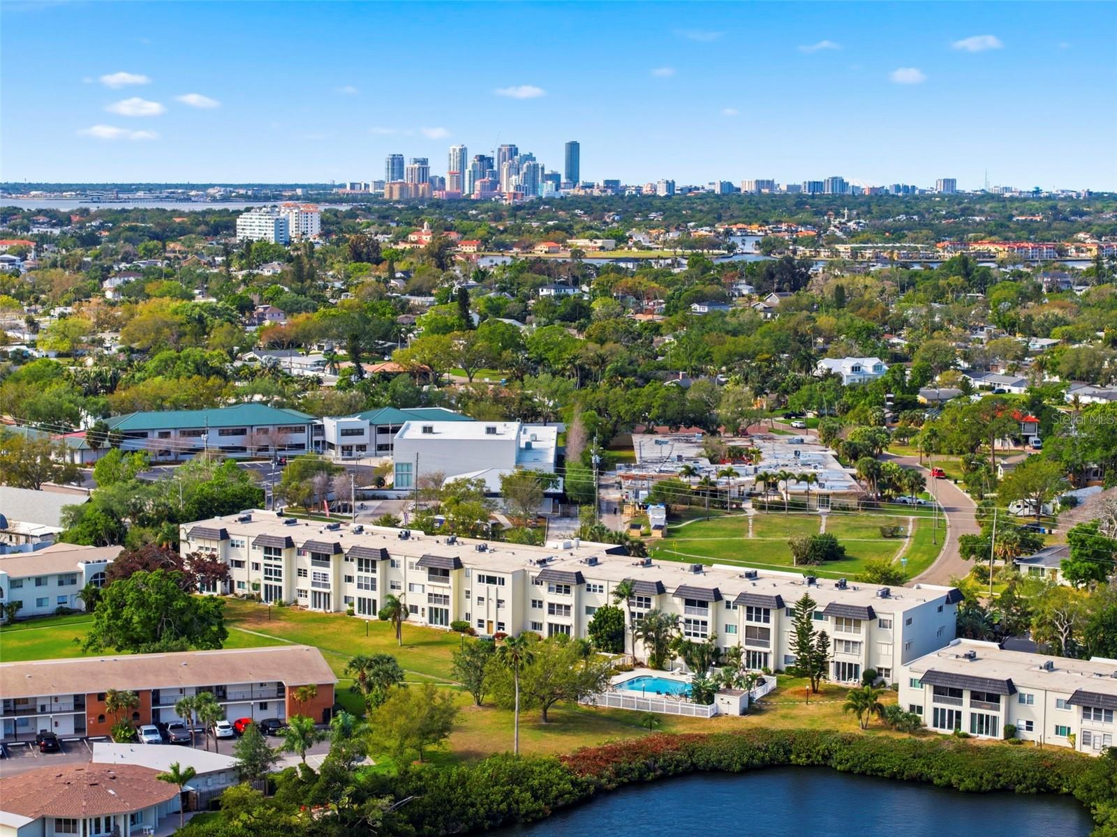 Downtown St. Pete skyline in the distance.