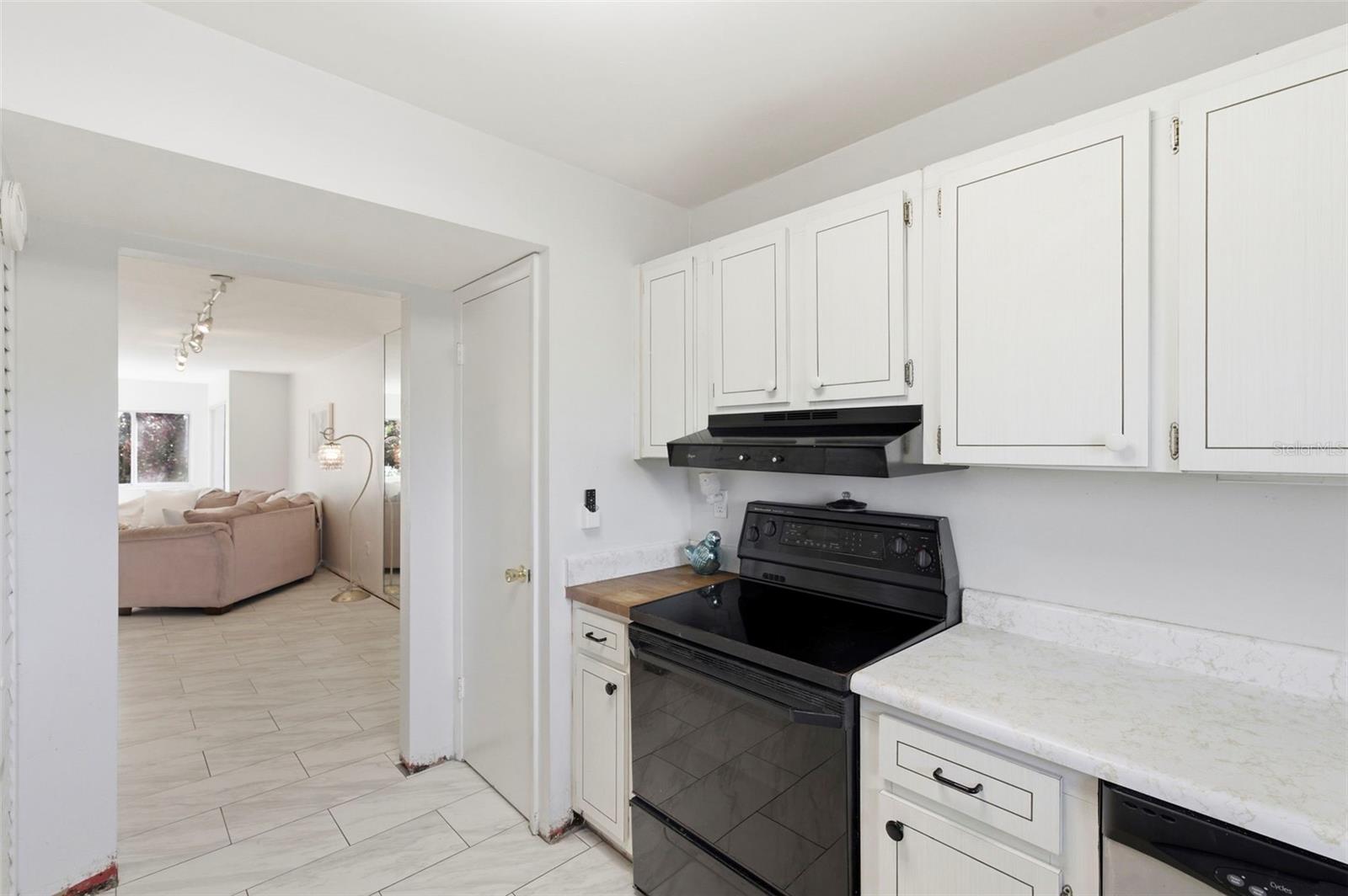 Pantry Closet in Kitchen