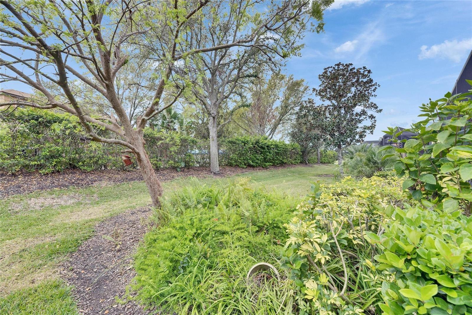 Rear of property