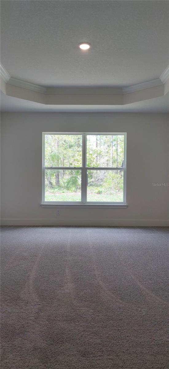 Primary Bedroom with Tray Ceiling