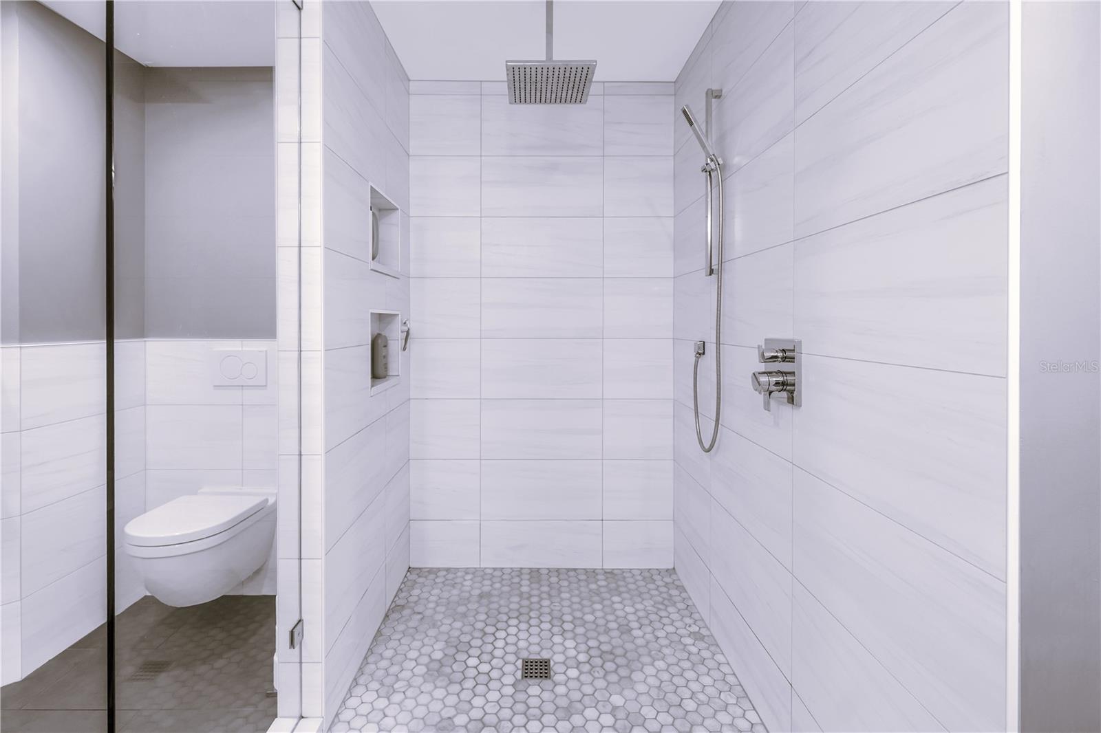 European Wall Mount Toilets and Clean Rain Shower.  Zero Entry and Seamless Glass