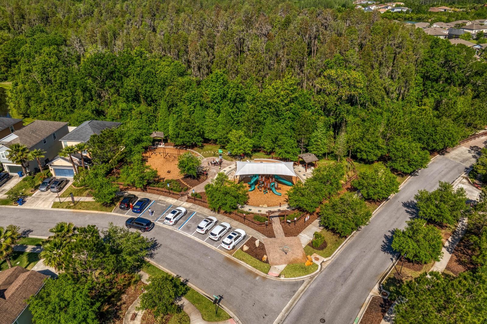 Thank you for visiting!