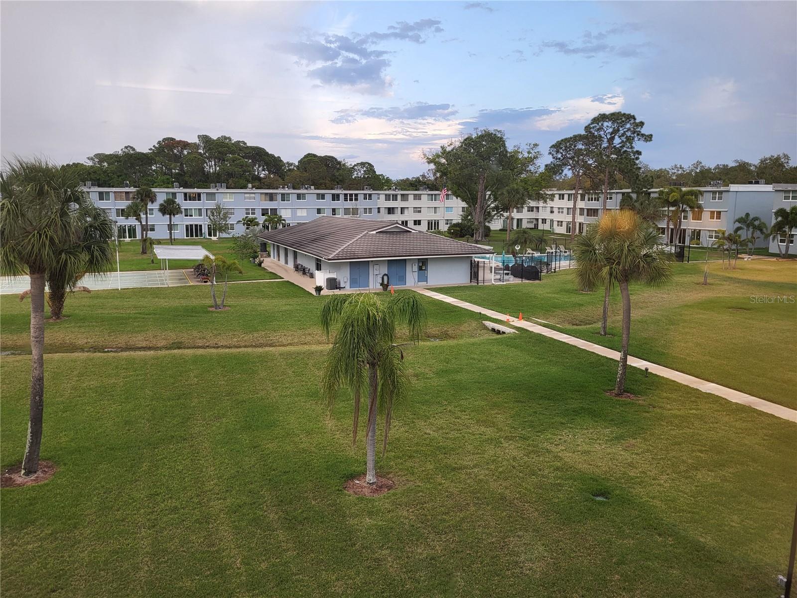Rear courtyard with pool and shuffleboard