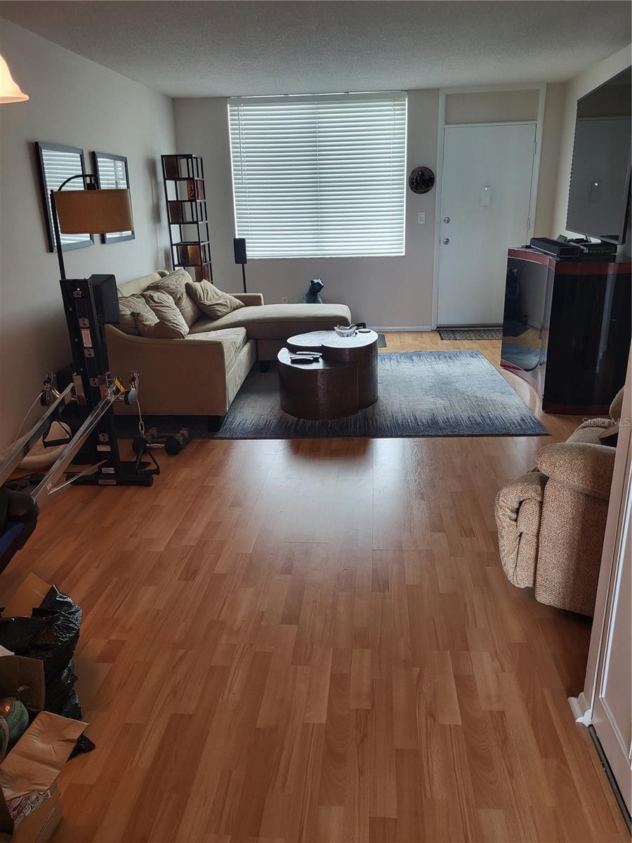 Living room and front door