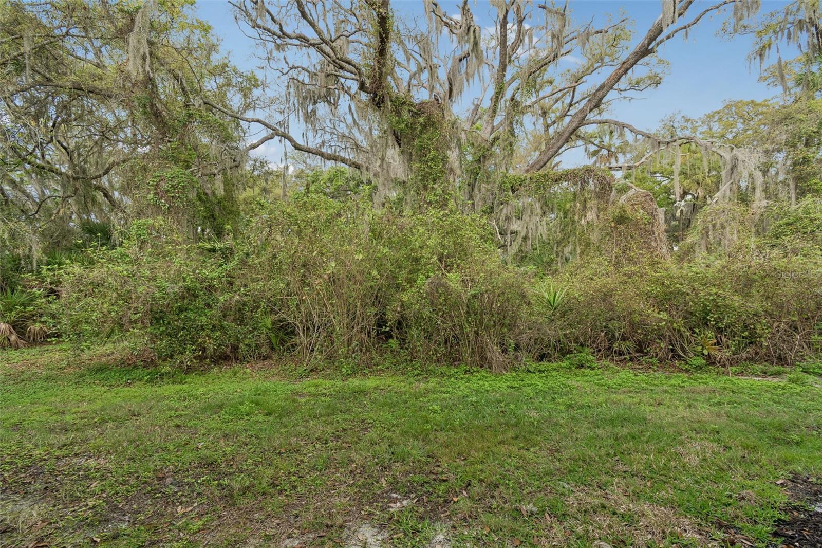 Natural preserve backyard