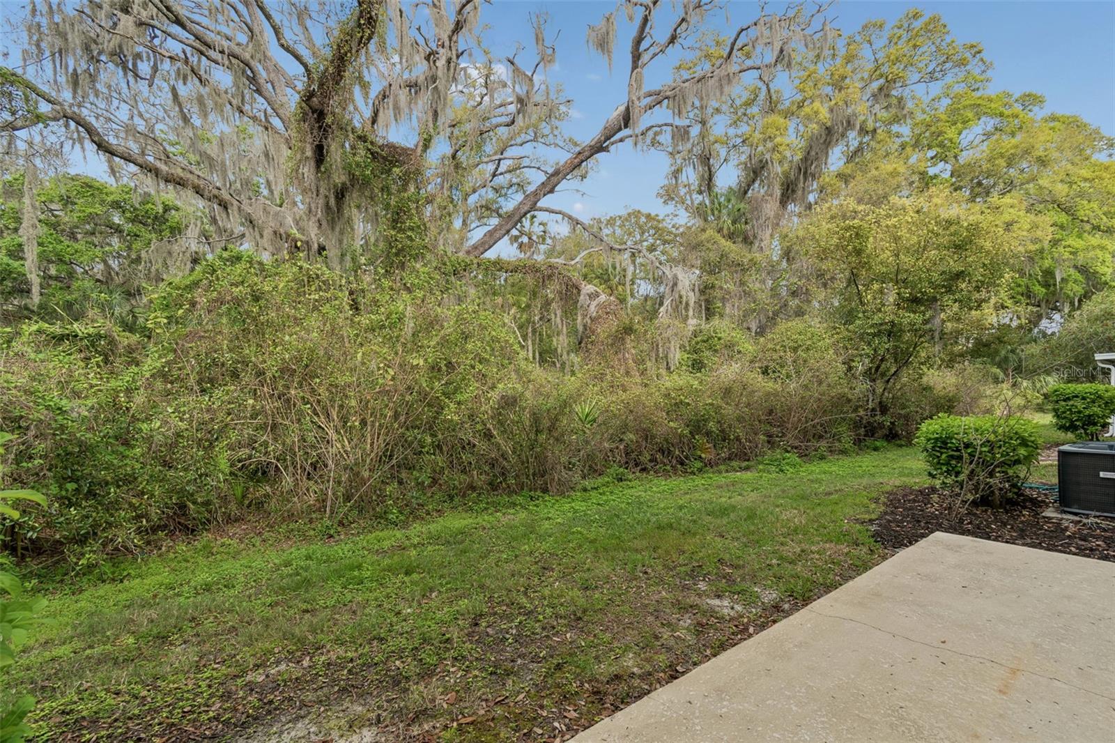 Natural preserve backyard