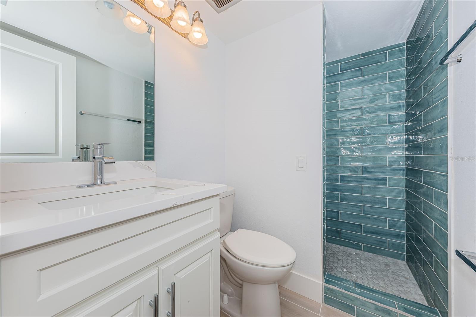 Guest Bathroom with walk-in shower