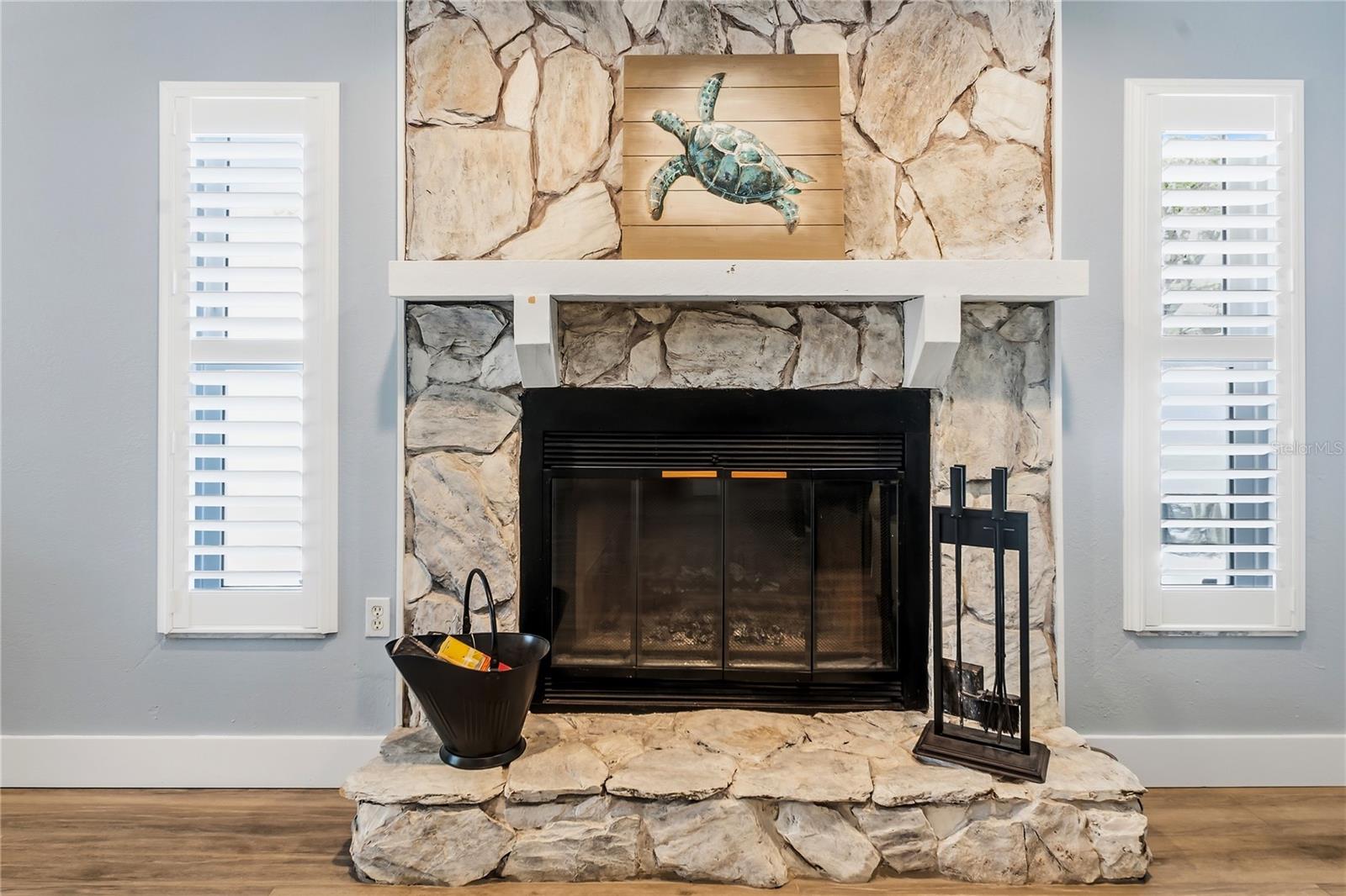 Wood burning fireplace