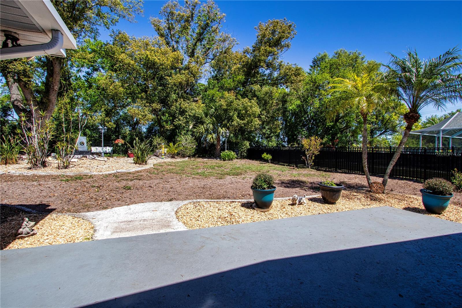 Patio & Backyard view