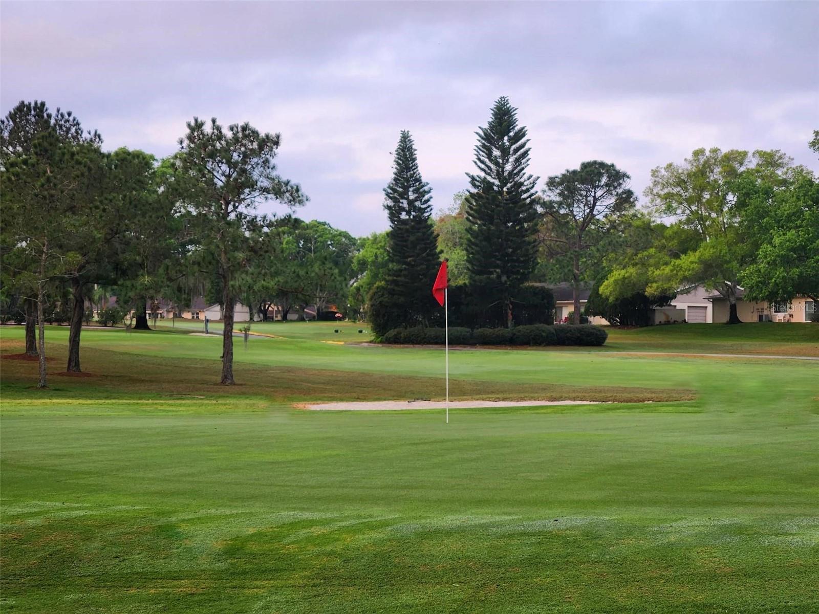 Courses are professionally maintained and consistently receive high ratings~