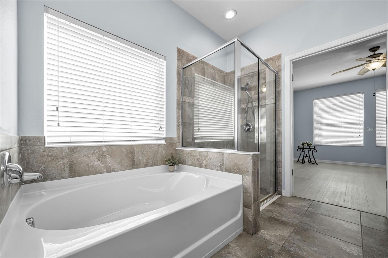 garden tub and step in shower