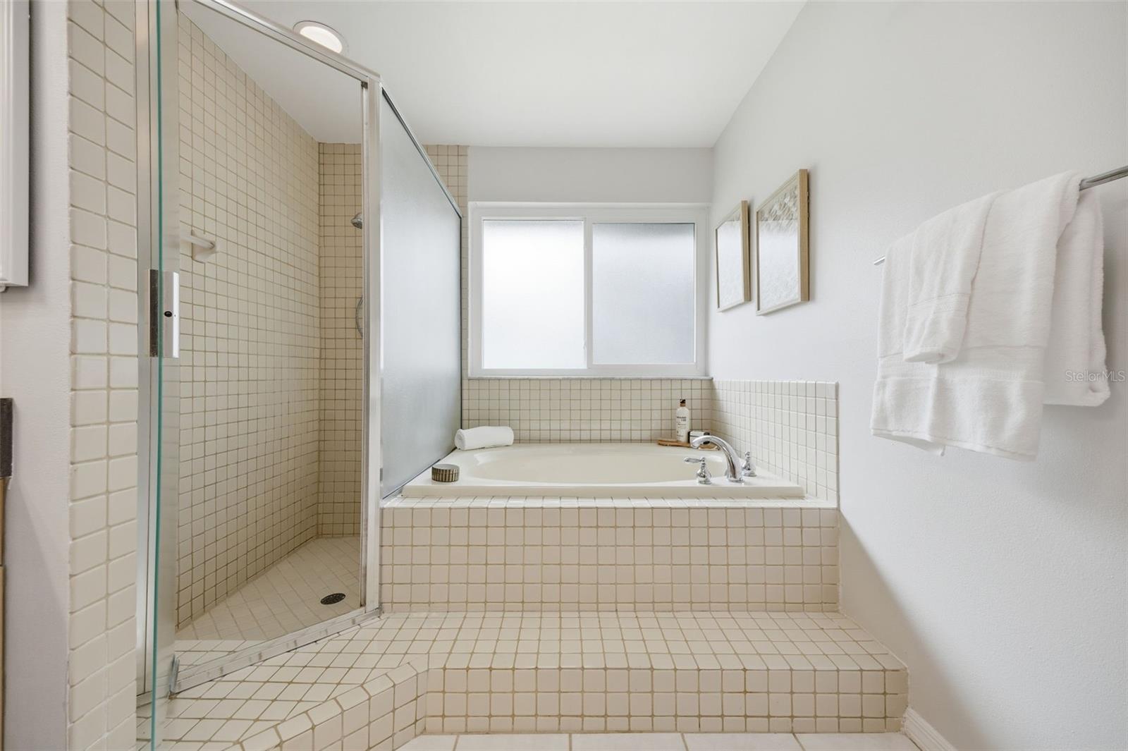 Walk in shower & soaker tub