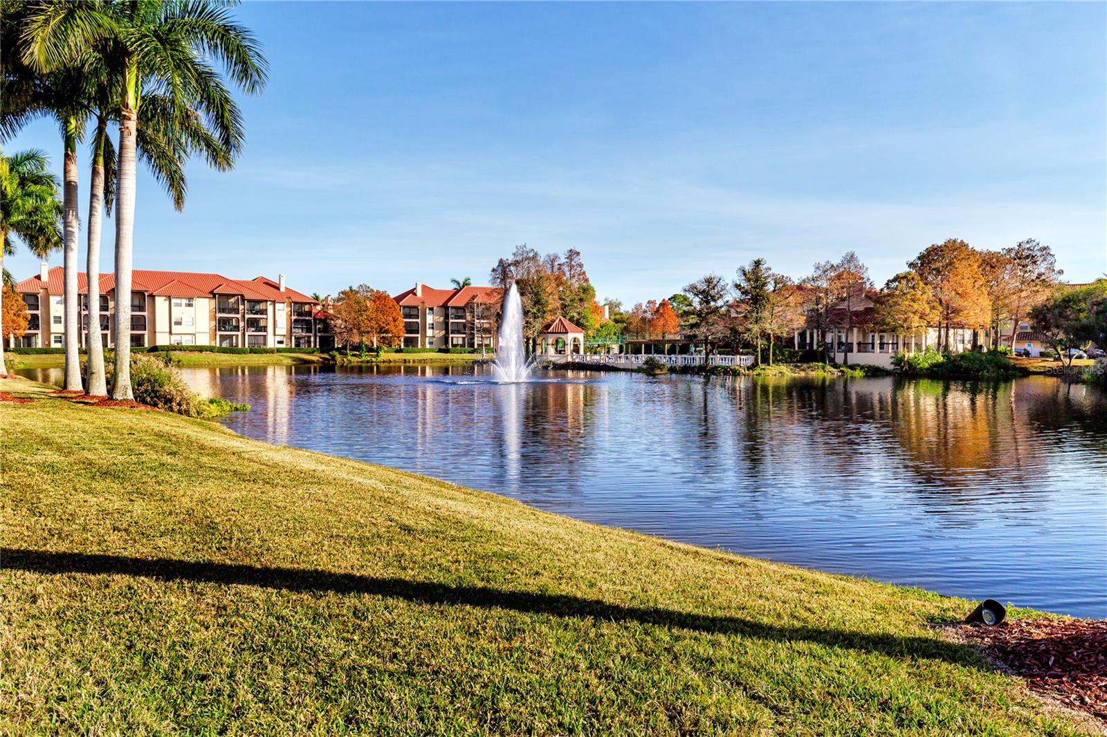 View of the building & pool area from Feather Sound Dr