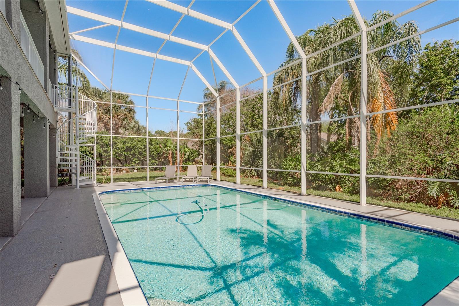 Pool with privacy shrubs in the back