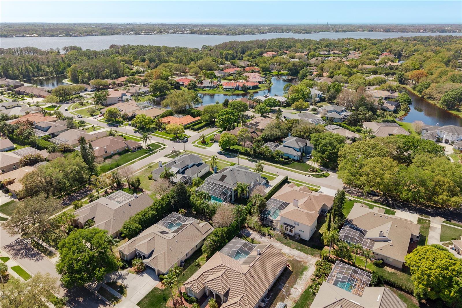 Aerial view with Lake Tarpon in the background