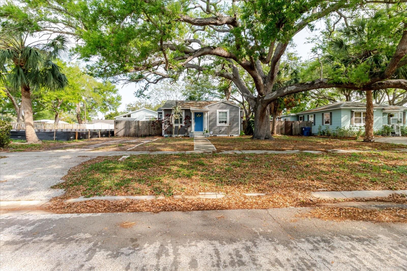 Front of House, Mature Trees, Quiet Street, Fenced In Yard
