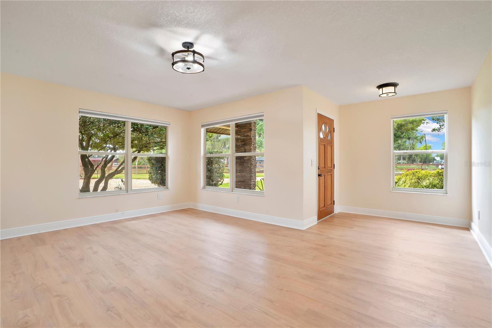 Foyer and Living Room