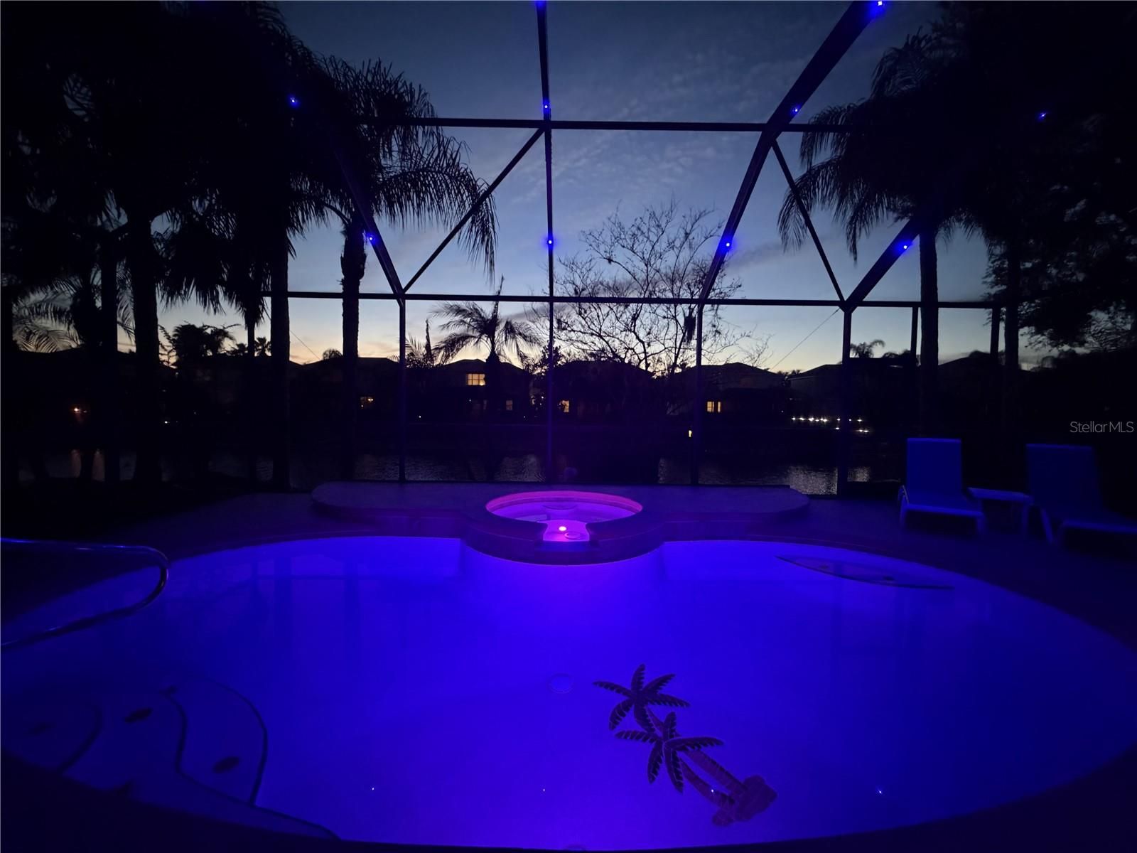 Night swim or Night Club? Fabulous LED-lit pool cage!