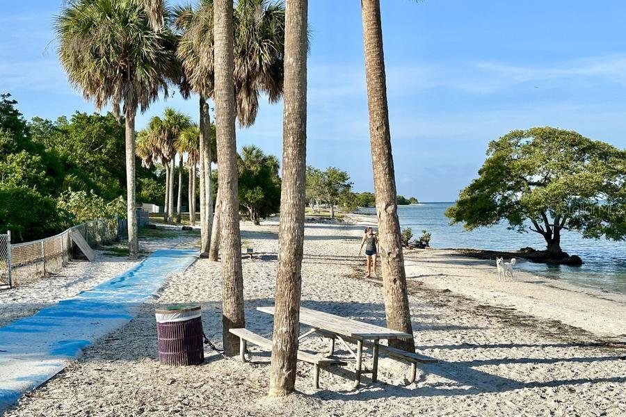 Picnic Island Dog Park