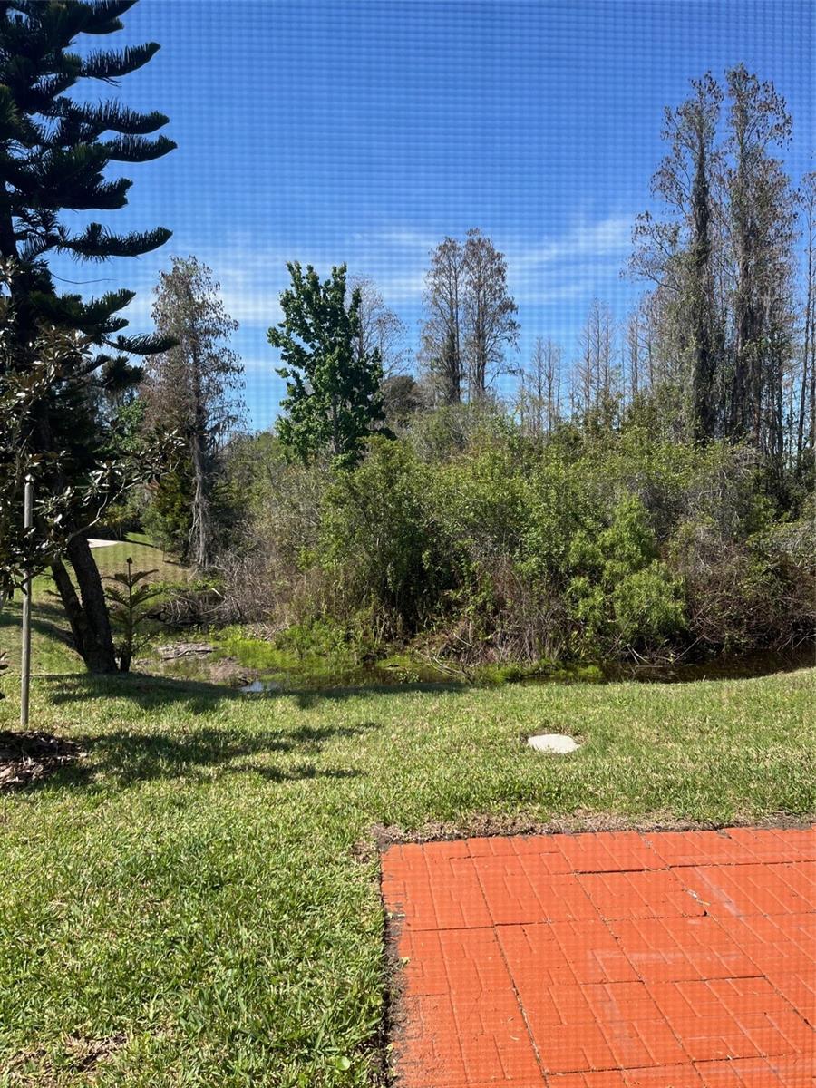 BACKYARD/CONSERVATION