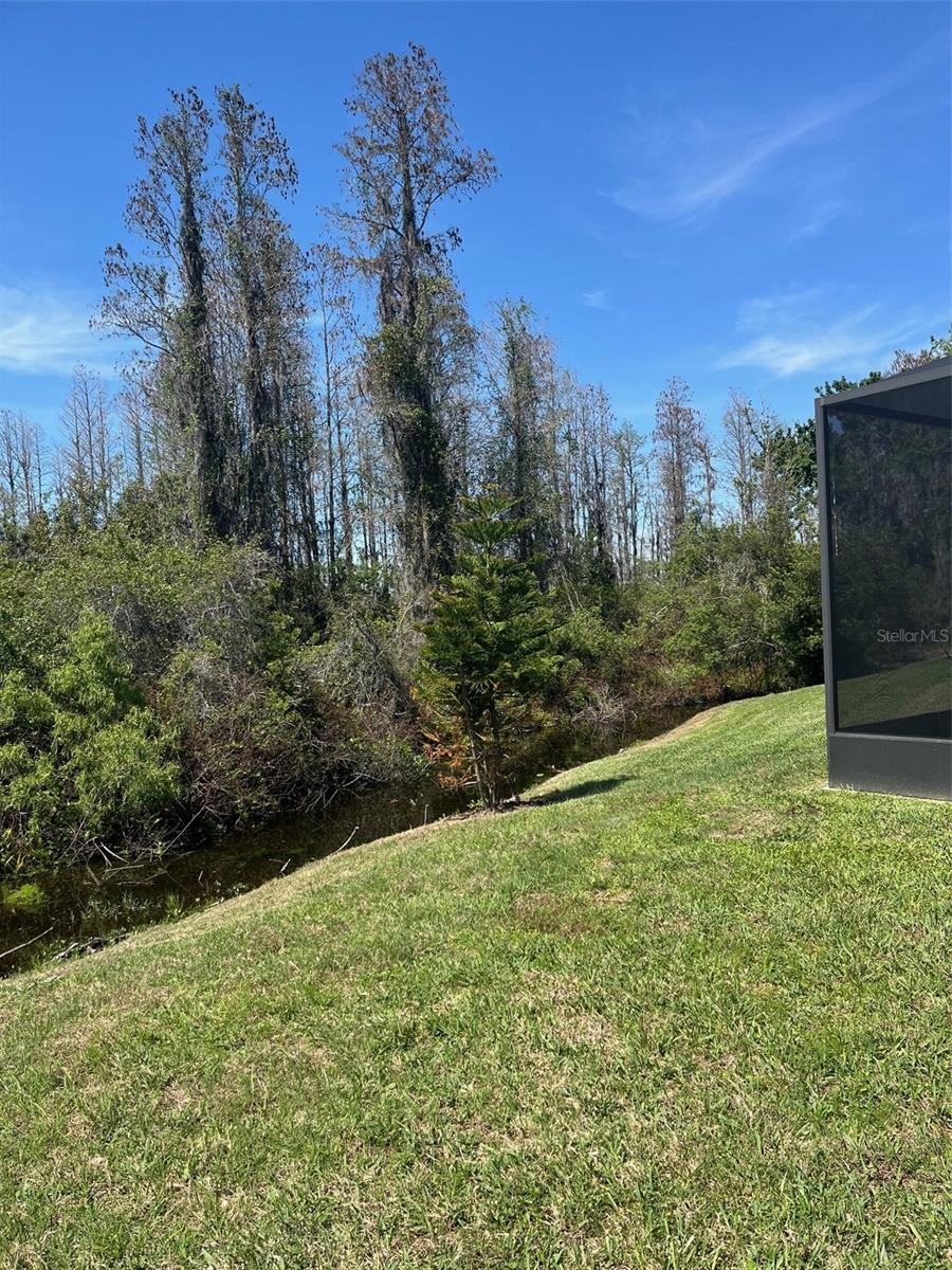 BACKYARD/CONSERVATION