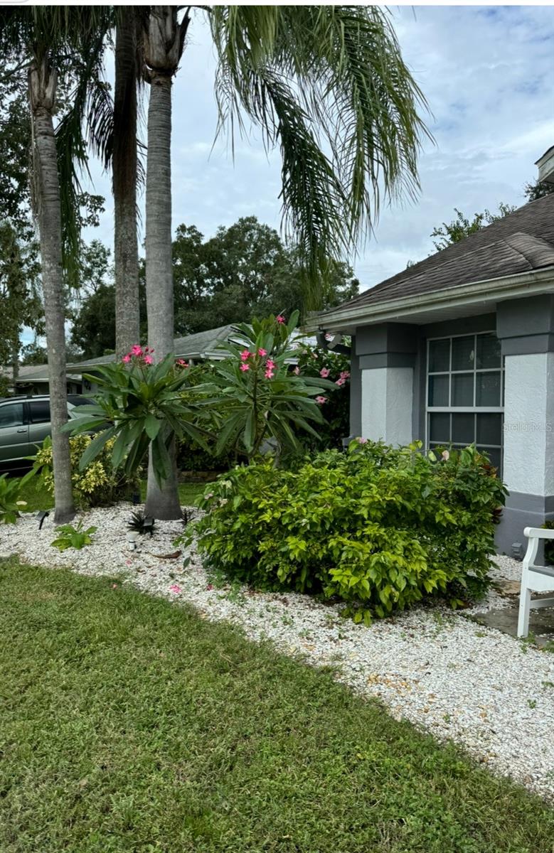 This home was hit by the recent freezes this season...this is a former photo in all it's glory!