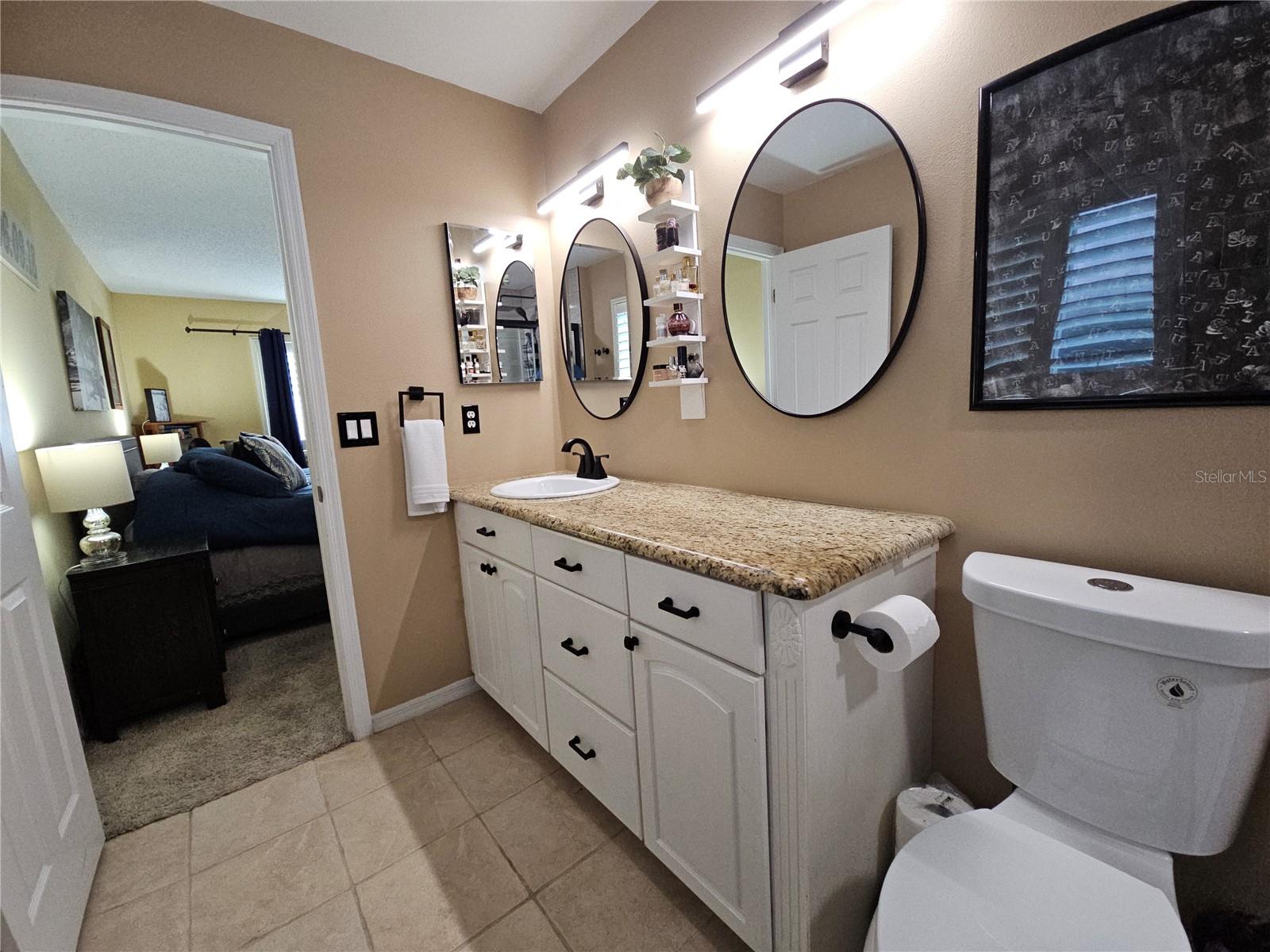 New Lighting, Mirrors & Toilet