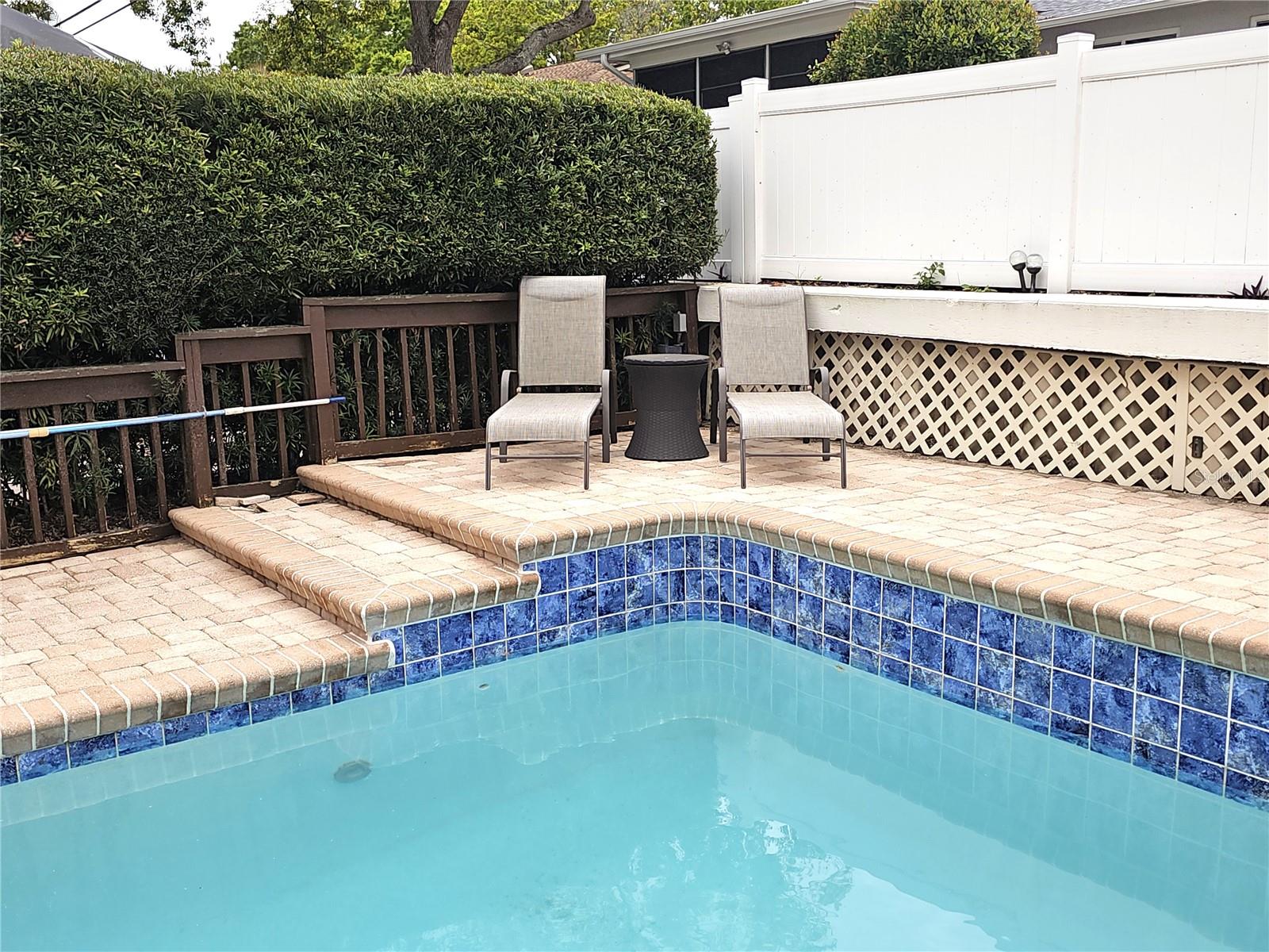 Nice area for lounging! Privacy bushes & fencing