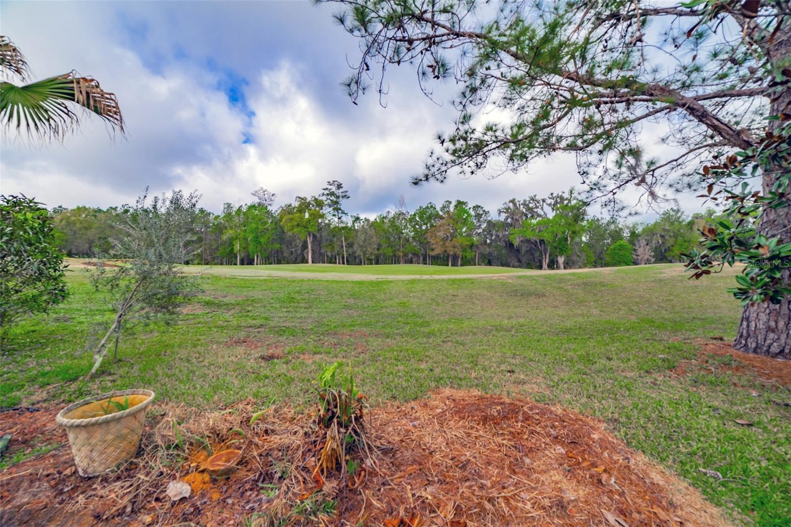 Golf Course View from Pool Area