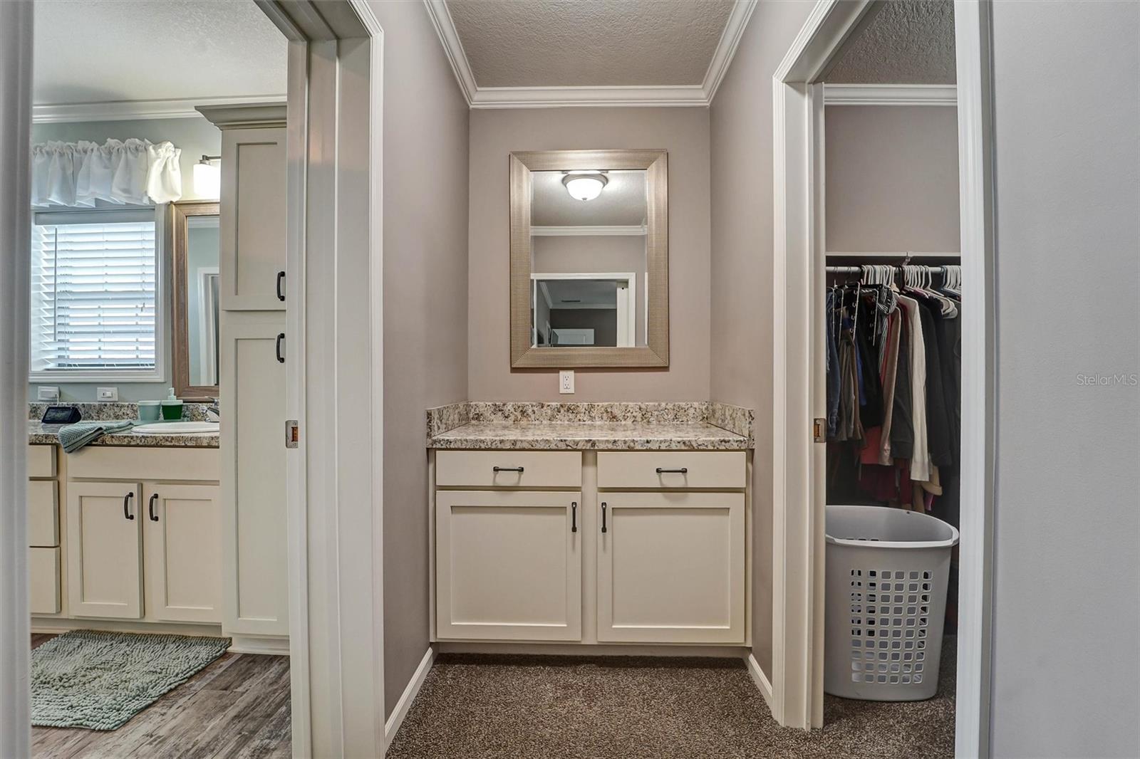 Primary Bathroom Vanity Area