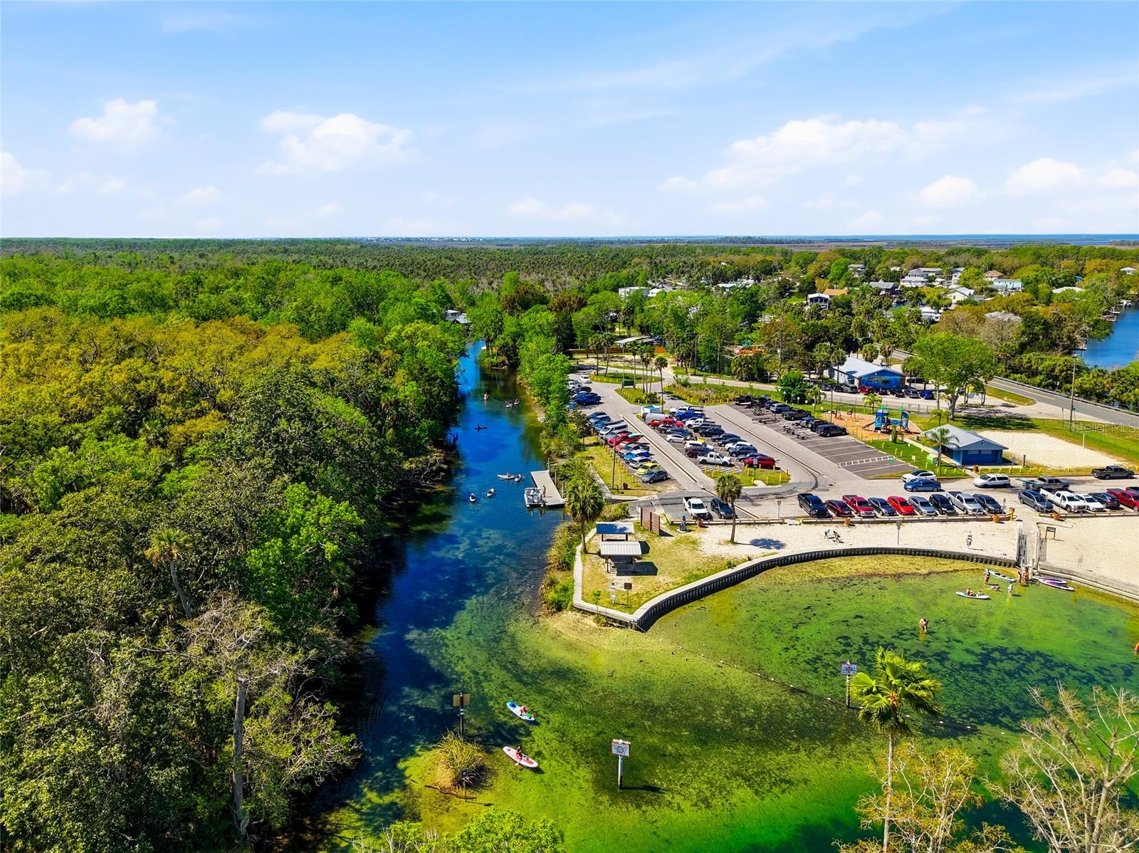 take the spring all the way up to Weeki Wachee and back and enjoy the manatees
