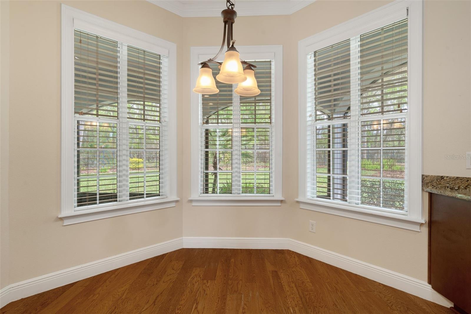Breakfast Nook Overlooking Backyard