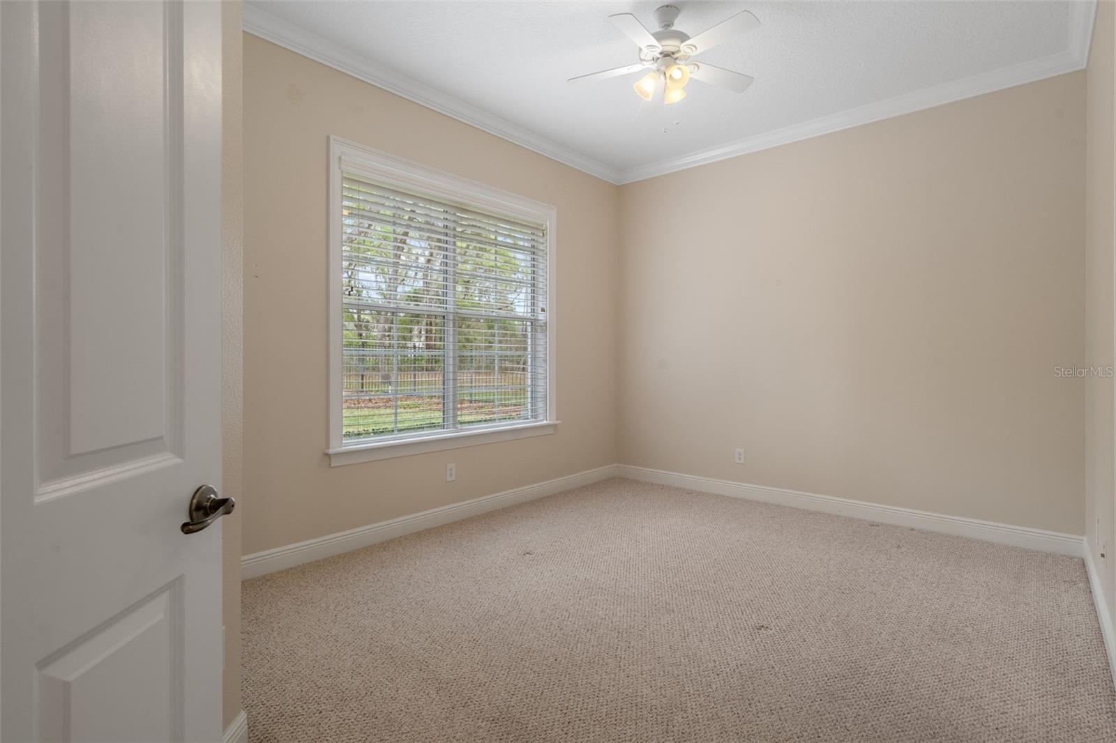 Bedroom 2 with Crown Molding