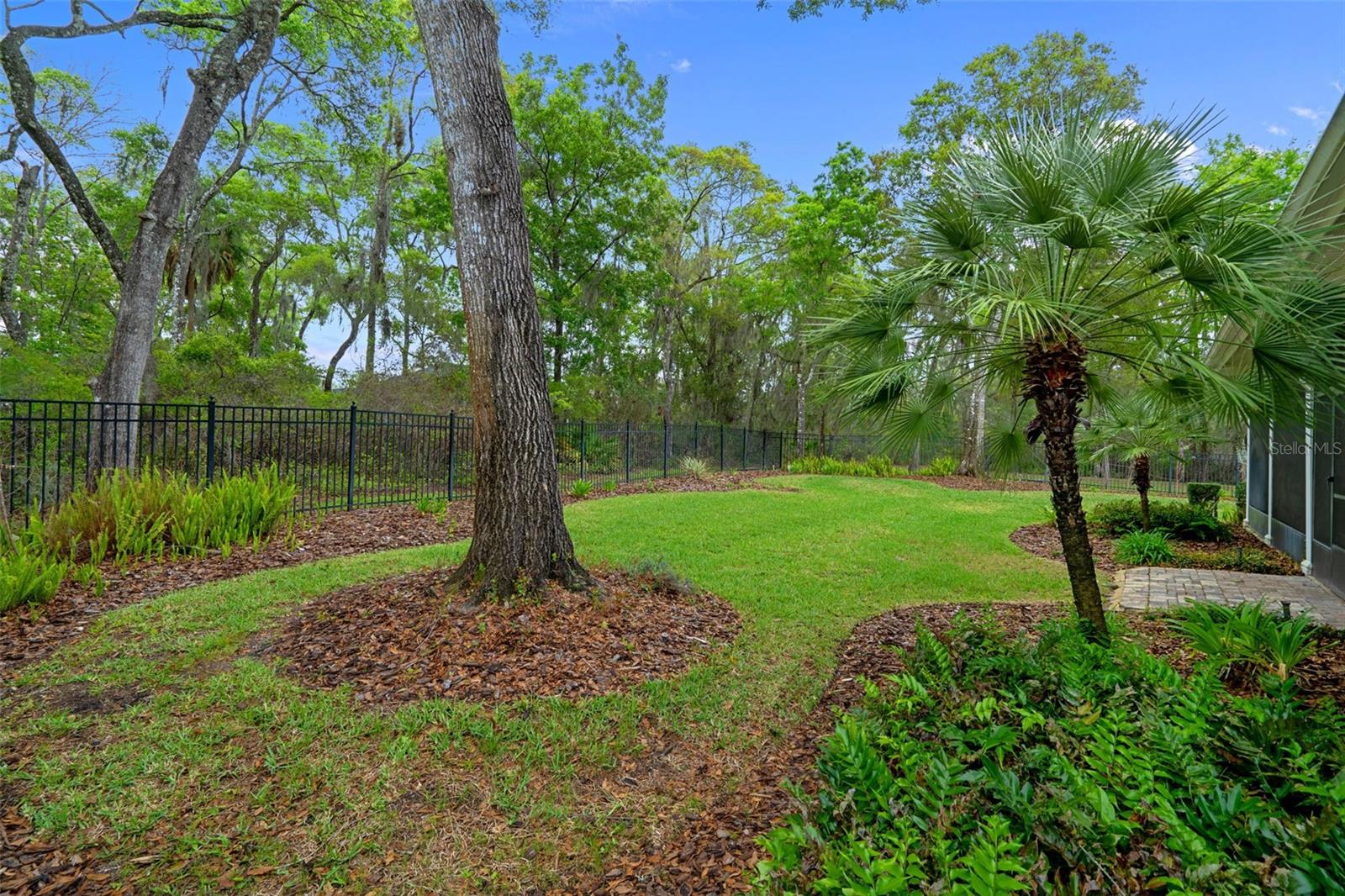 Beautifully Landscaped Rear of Home with Wrought Iron Fence