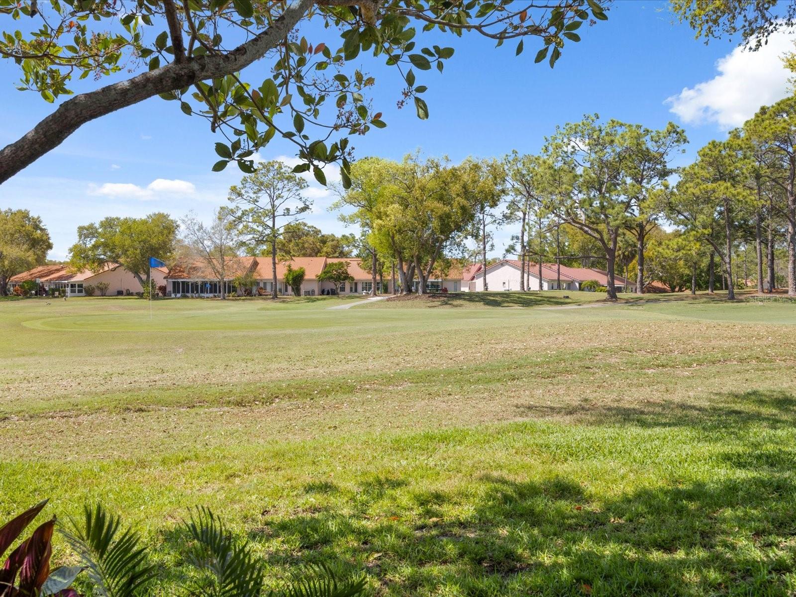 Golf course view from patio