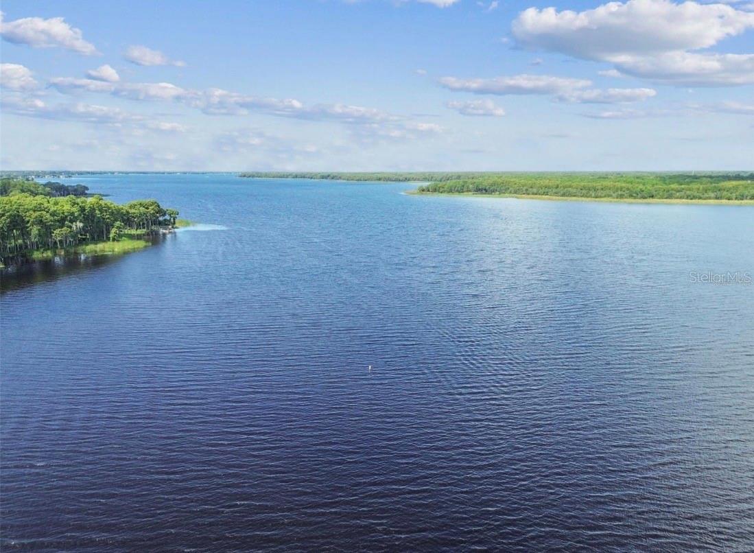 Beautiful Lake Tarpon!