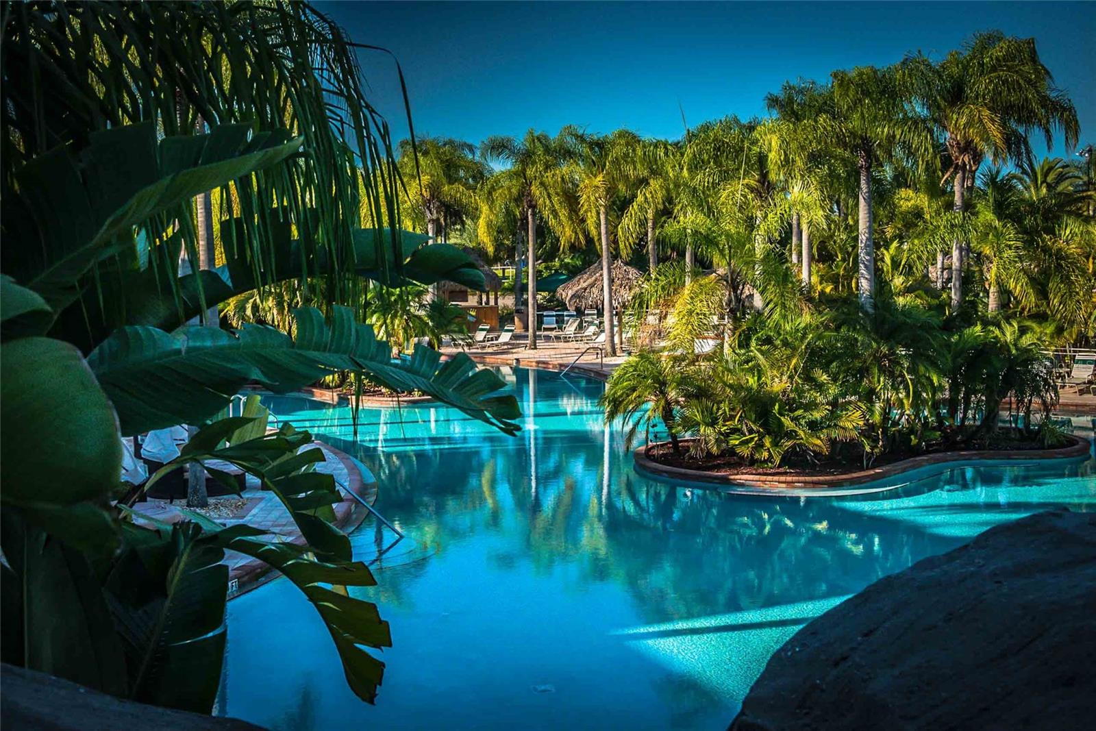 Image of tropical resort palms and pool at Caliente