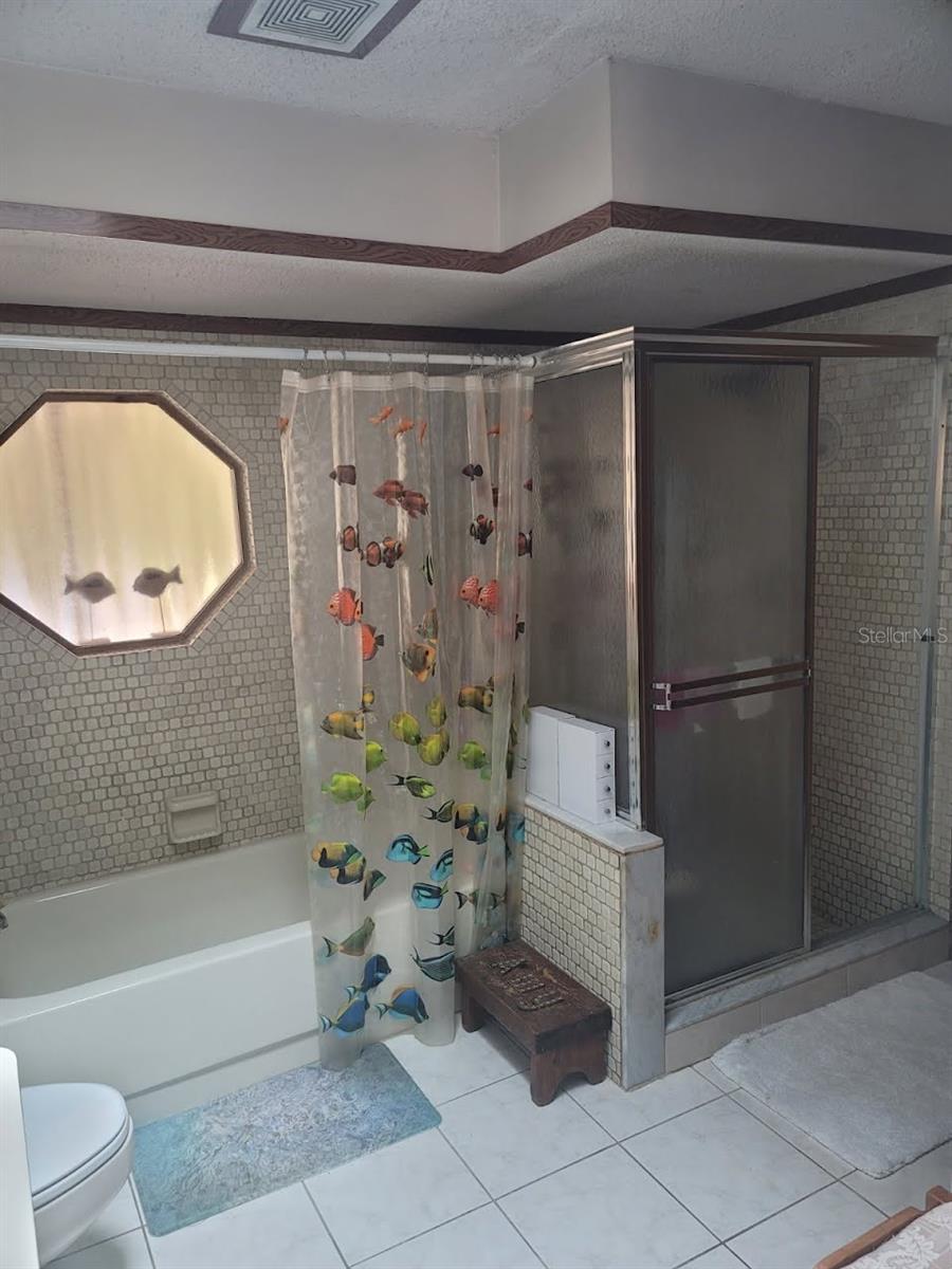 primary bath with double showers/bath