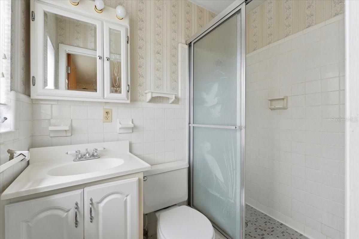 primary bathroom with step in shower