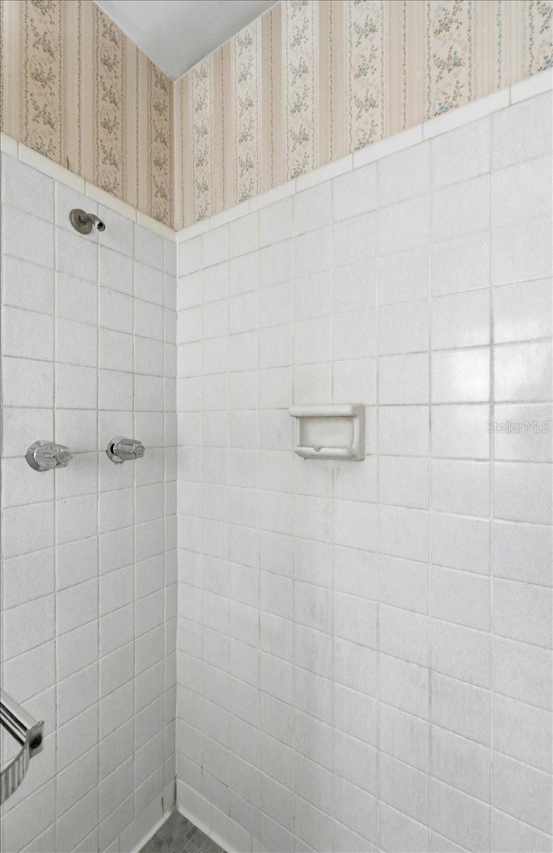 shower in primary bathroom