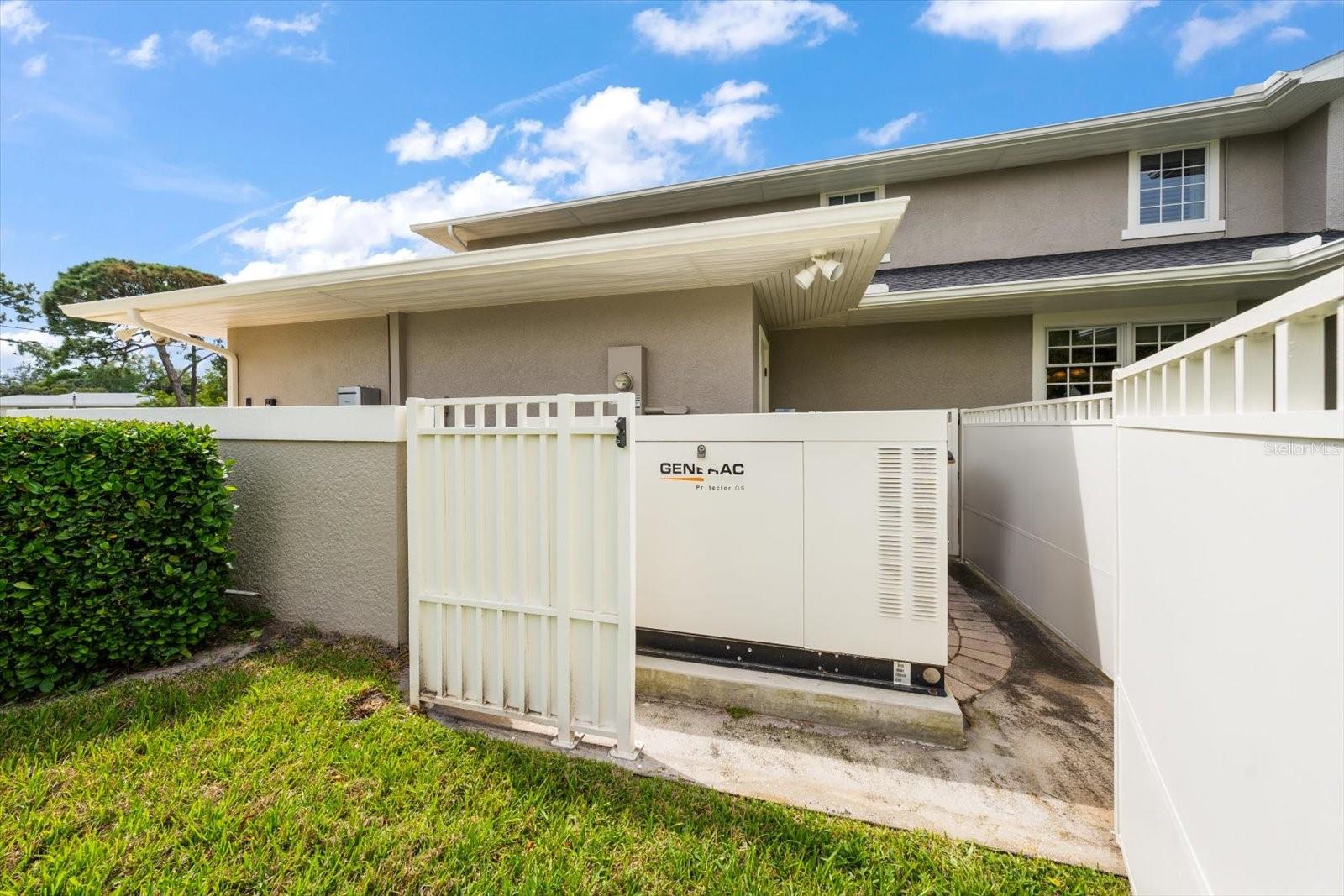 Whole house generator system