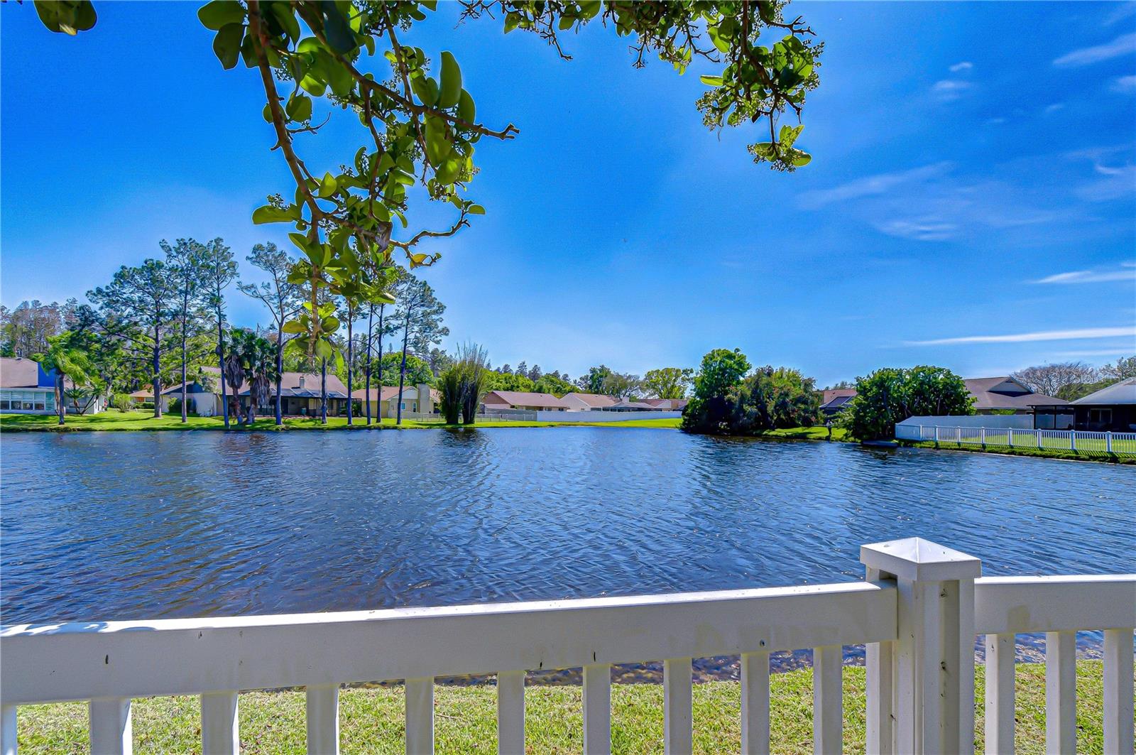 Fence Across Backyard to Pond