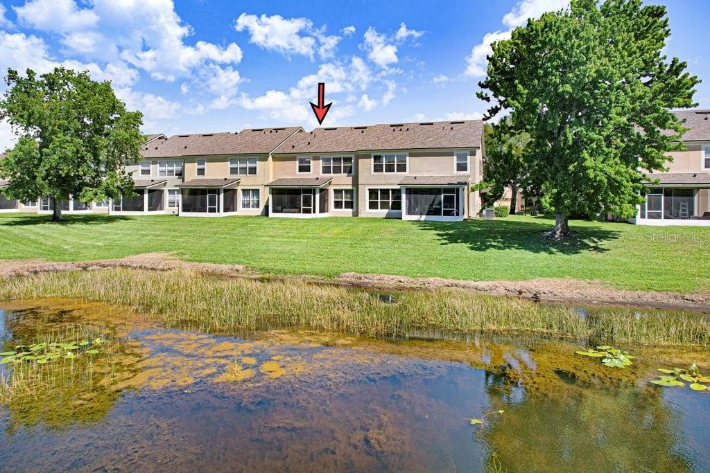 What a view!  Plenty of nature and peace