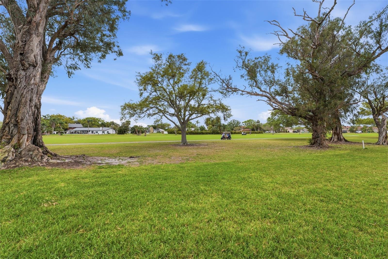 View from back of house - right off sunroom