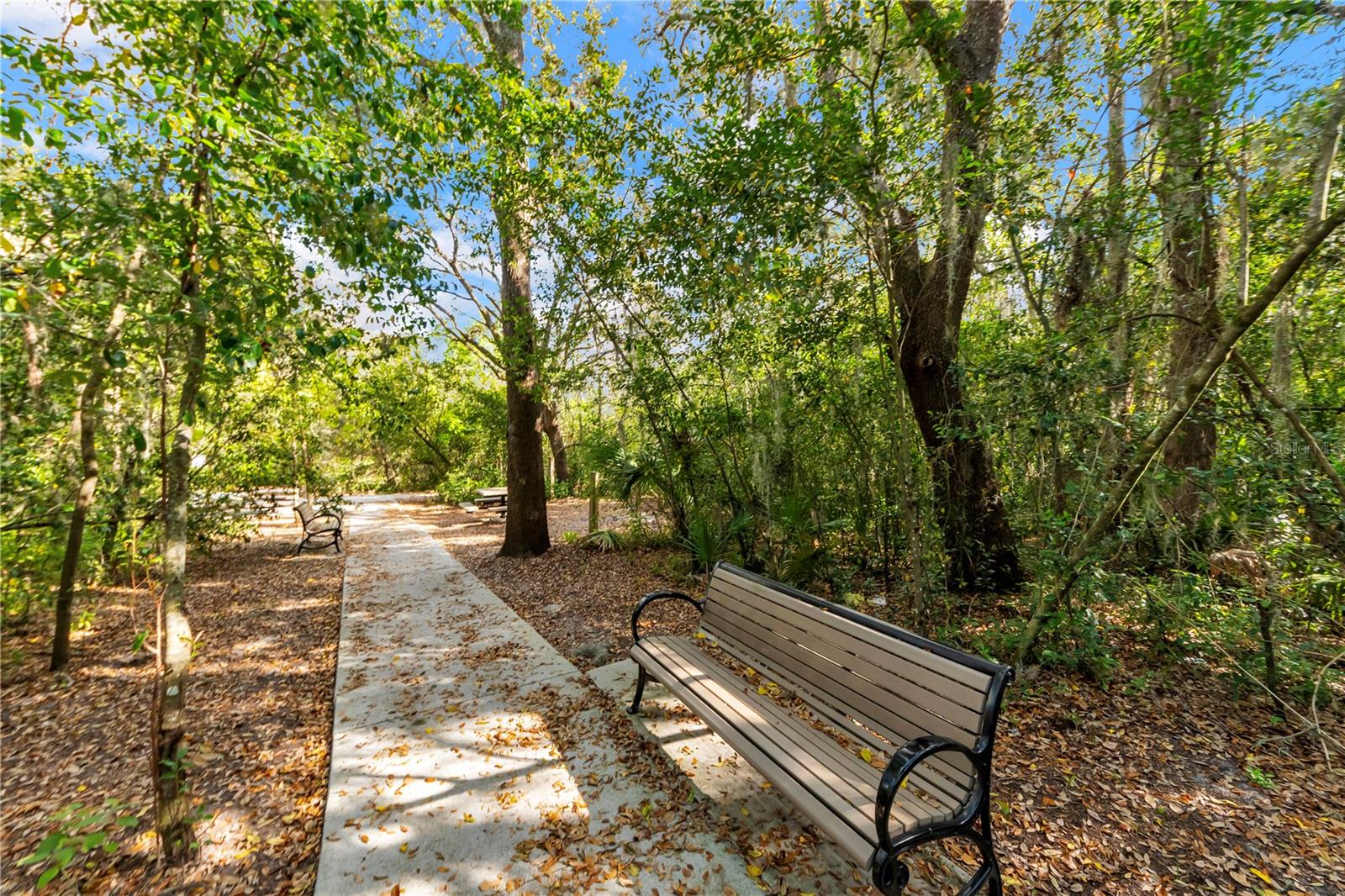 Walking trail
