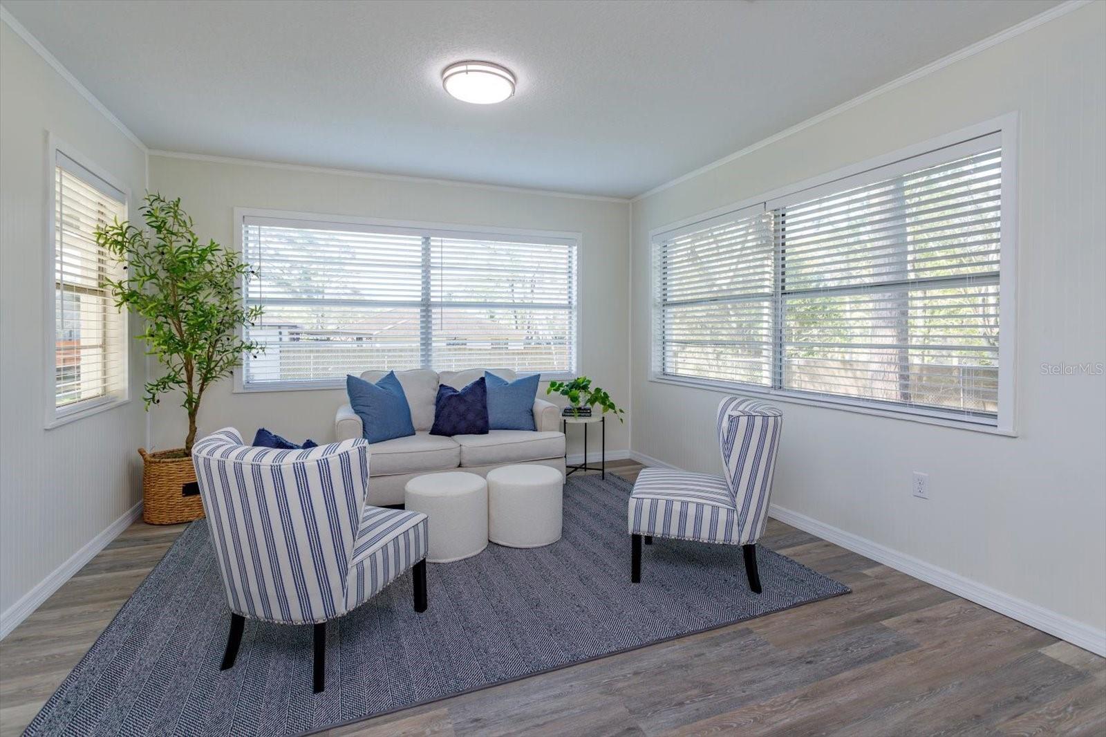 Abundance of Natural Light! New blinds!