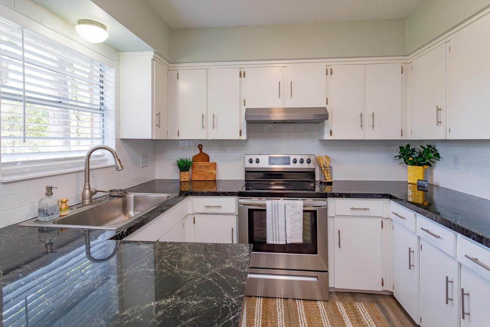 Stainless steel appliances, window out to the backyard