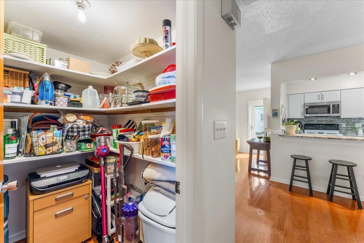 Huge Pantry For Storage