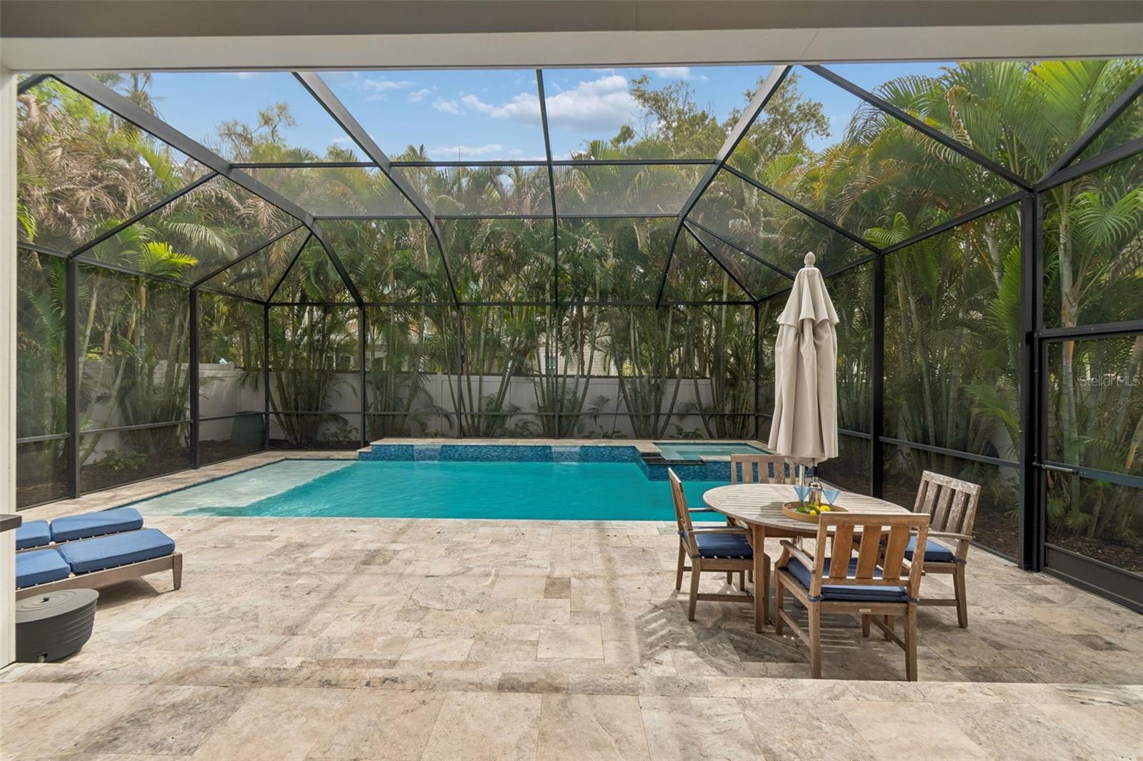 Screen-enclosed Pool Area