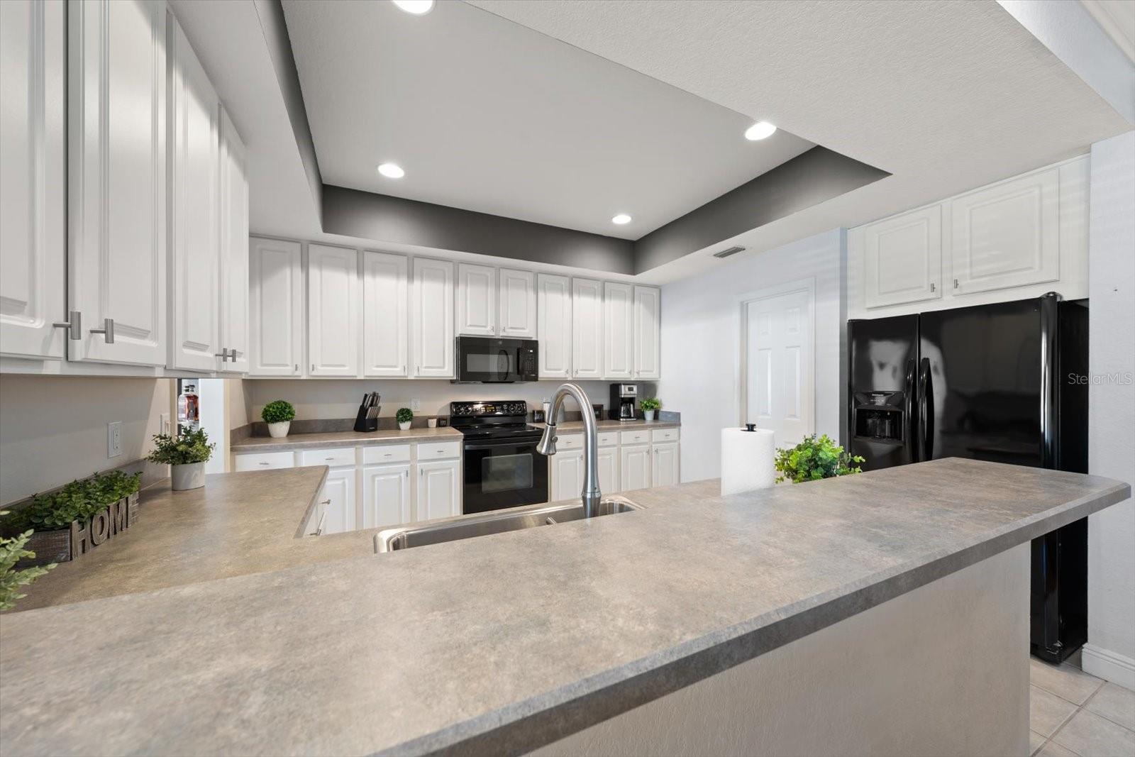 Kitchen with breakfast bar, tray ceiling, 42" upper cabinets, closet pantry